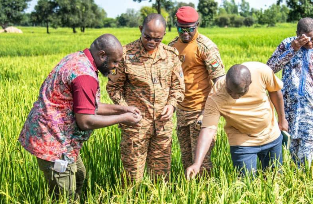 Burkina Faso : L’offensive agricole 2026-2028, un nouveau cap vers la souveraineté alimentaire