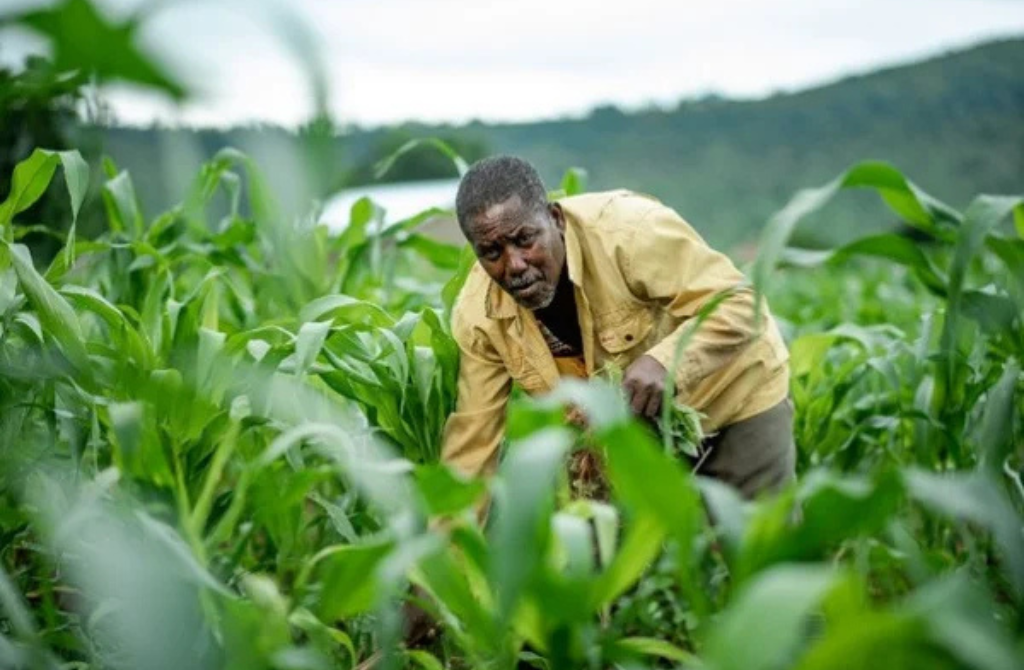 Togo : L&rsquo;agriculture intelligente, une piste de modernisation explorée en Chine