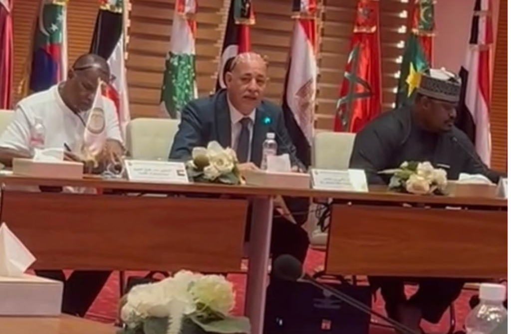 Afrique : Quand l&rsquo;ONG ANA plaide pour une coopération afro-arabe ancrée dans la langue et la culture partagées